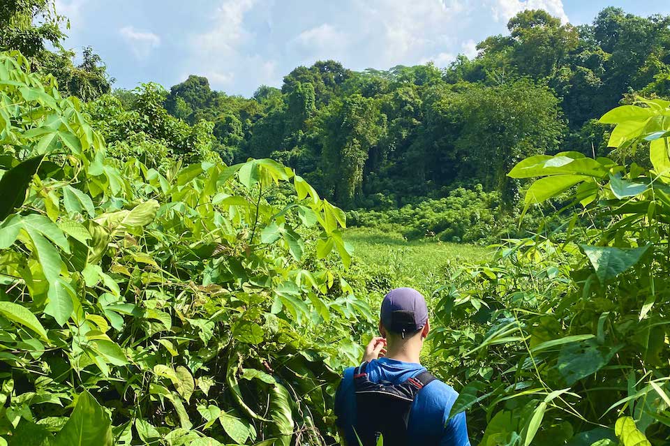 Man emerging from a hiking trail, near the Green Corridor