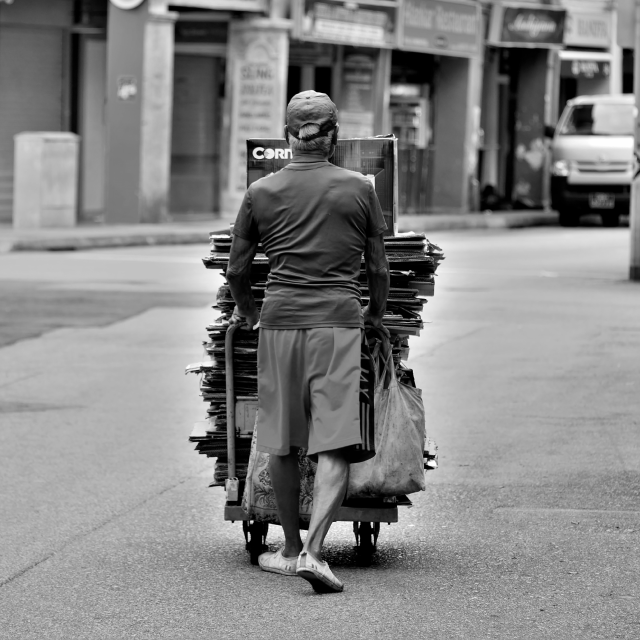 Cardboard collectors